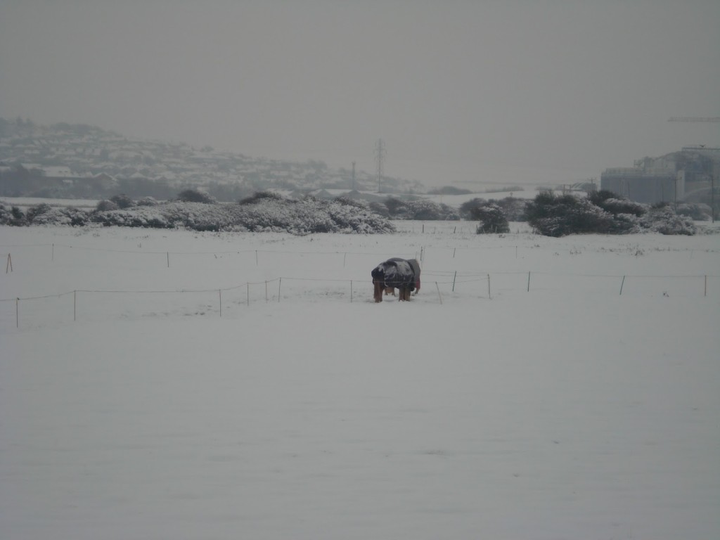 piddinghoe-snow