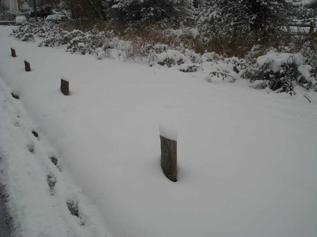 piddinghoe-snow
